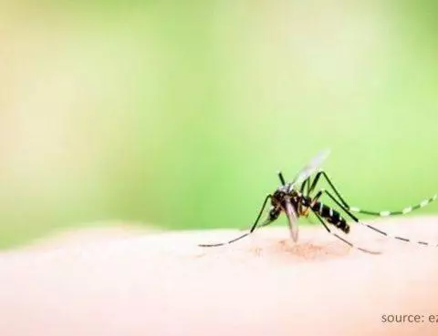 5 Tips Ampuh Hindari Serangan Penyakit Malaria