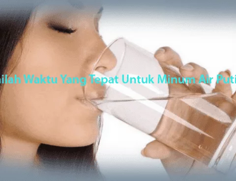 Waktu Untuk Minum Air