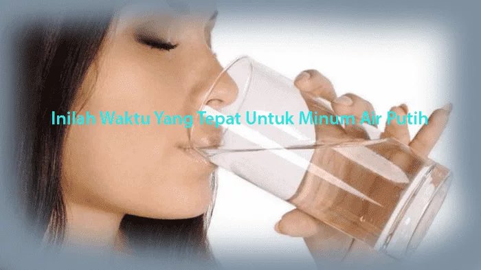 Waktu Untuk Minum Air