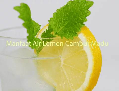 Manfaat Air Lemon Campur Madu