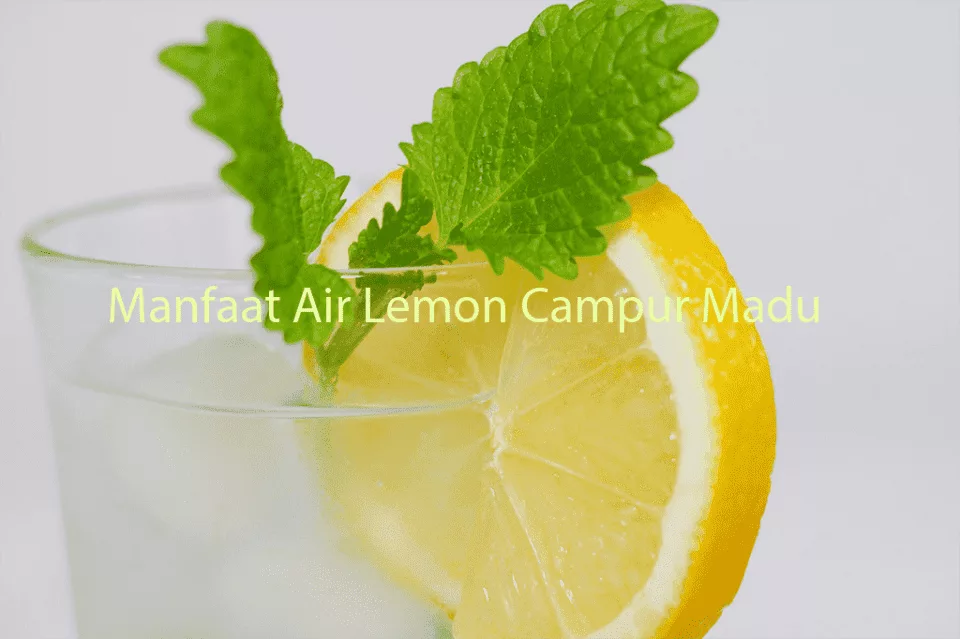 Manfaat Air Lemon Campur Madu