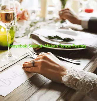 Penyebab Setelah Makan Terasa Pusing